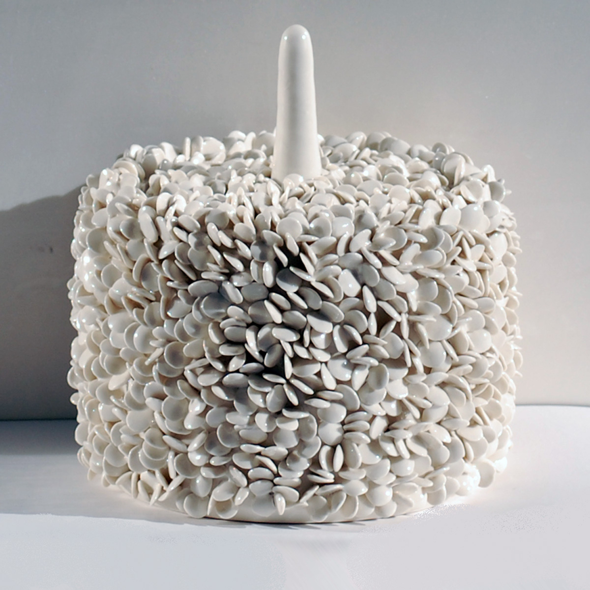 Erbosa - porcelain, 2010