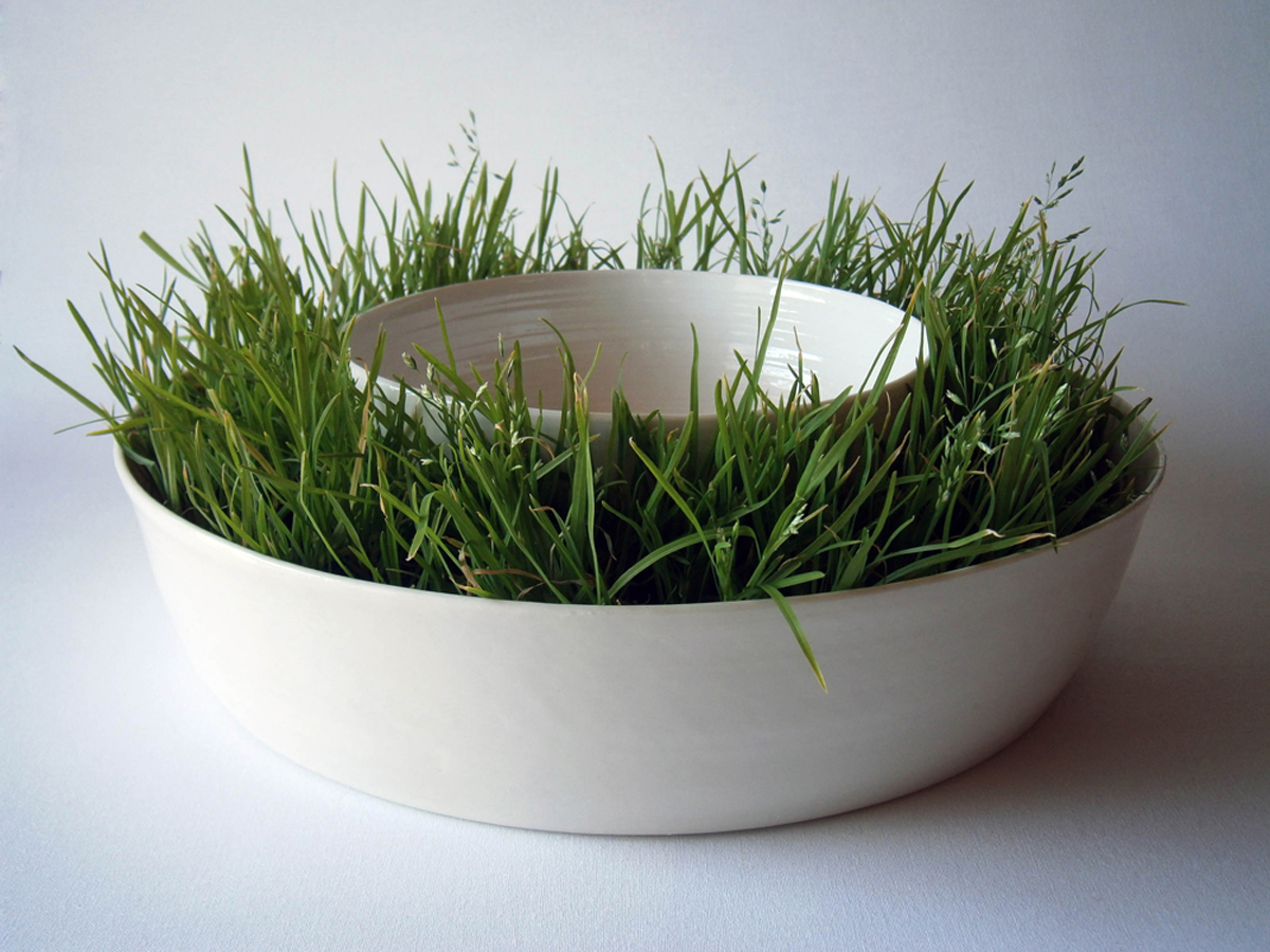Piatto erboso - porcelain, 2014