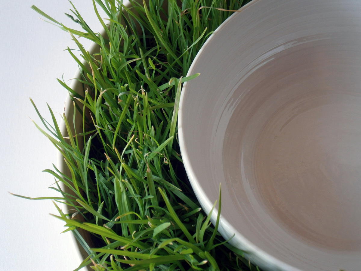 Piatto erboso (detail) - porcelain, 2014